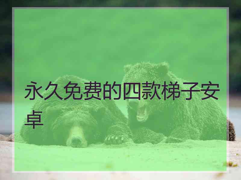永久免费的四款梯子安卓