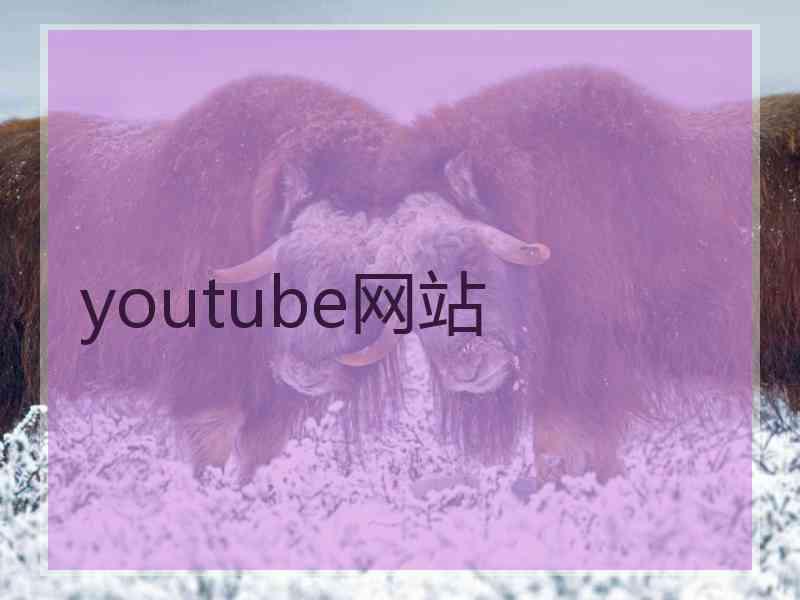 youtube网站