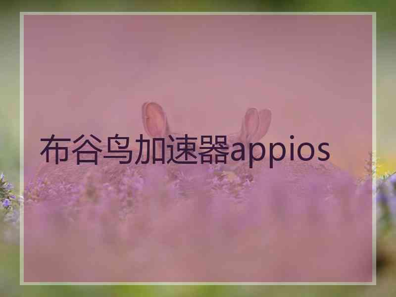 布谷鸟加速器appios