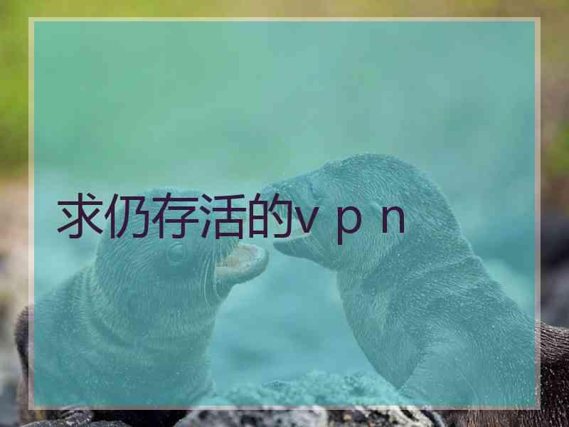求仍存活的v p n