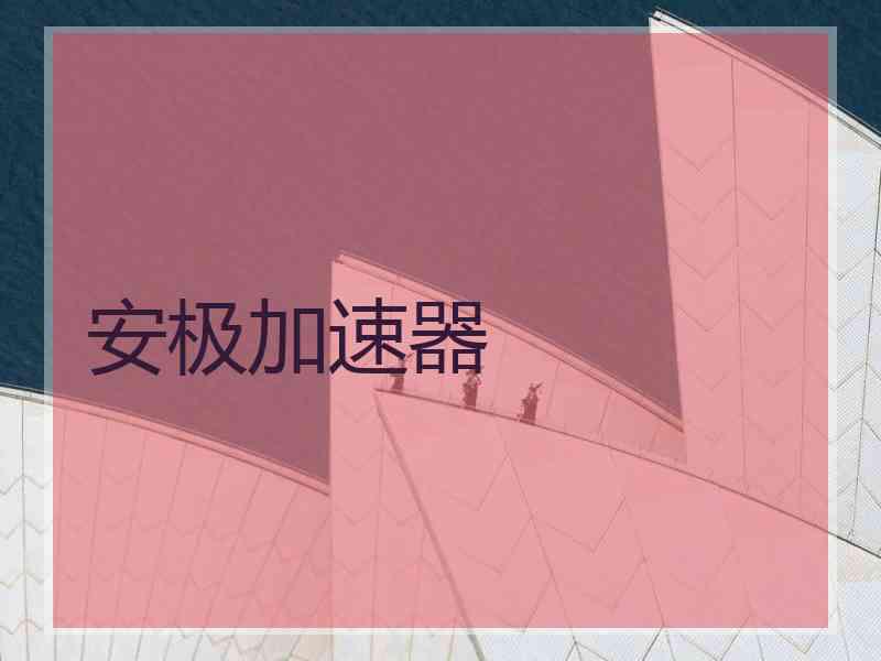 安极加速器