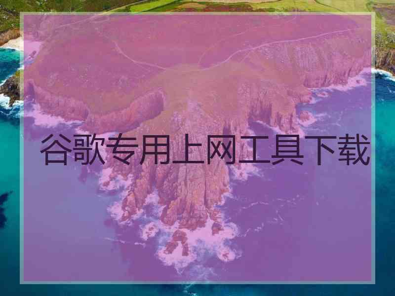 谷歌专用上网工具下载