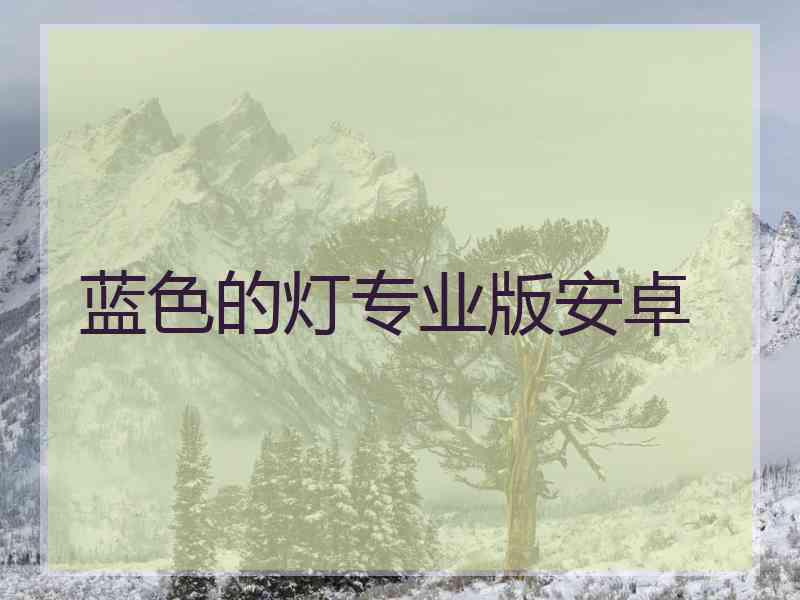 蓝色的灯专业版安卓