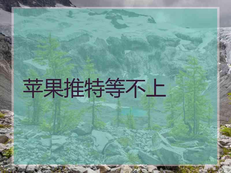 苹果推特等不上