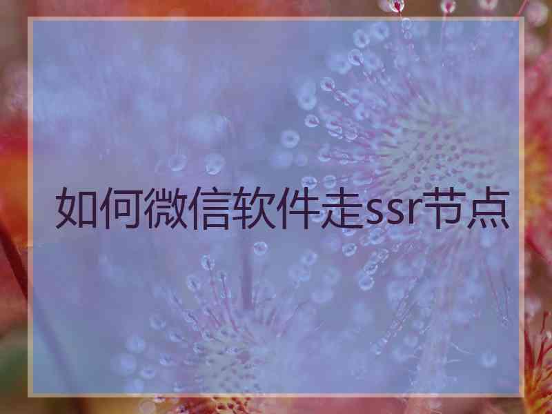 如何微信软件走ssr节点