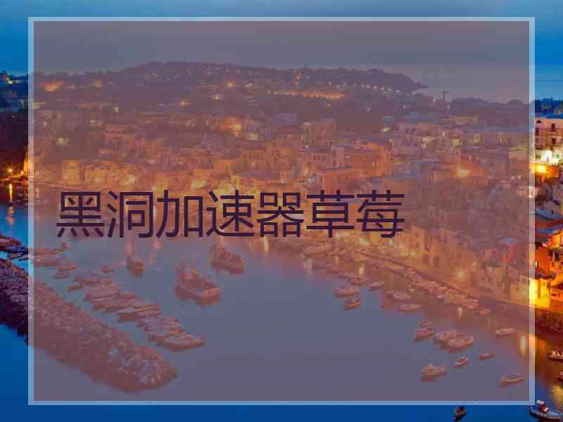 黑洞加速器草莓
