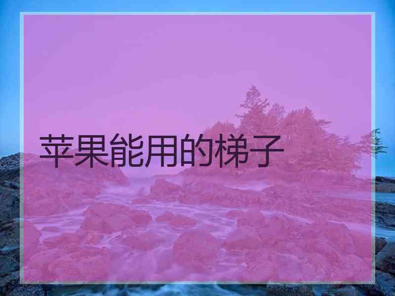 苹果能用的梯子