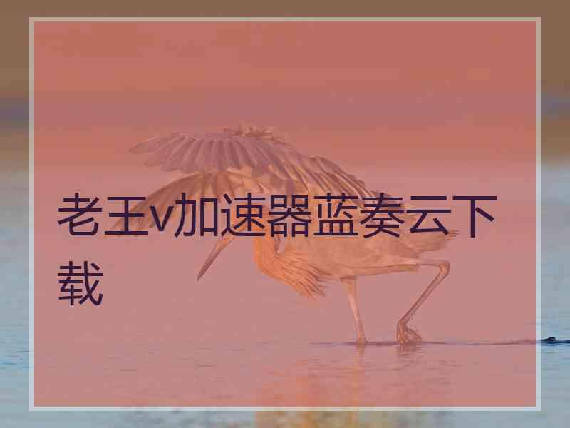老王v加速器蓝奏云下载