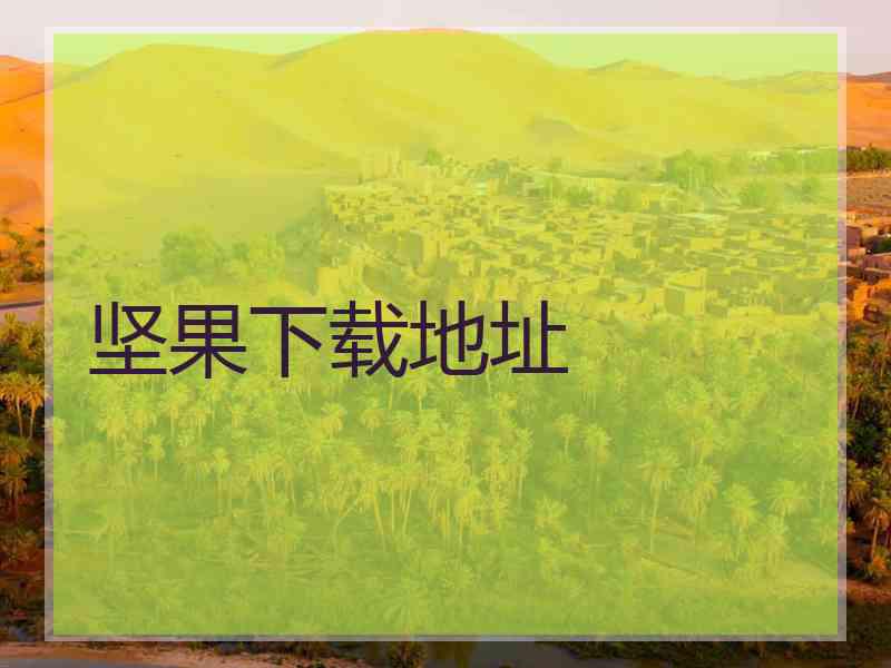 坚果下载地址