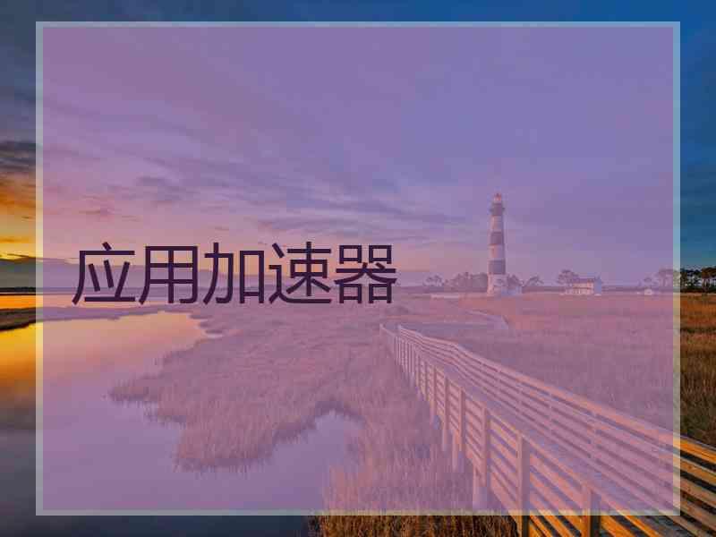 应用加速器