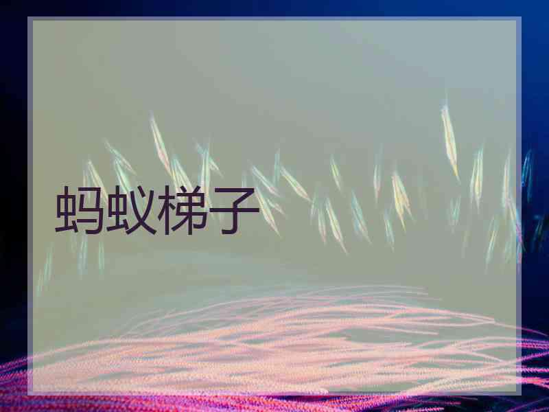 蚂蚁梯子