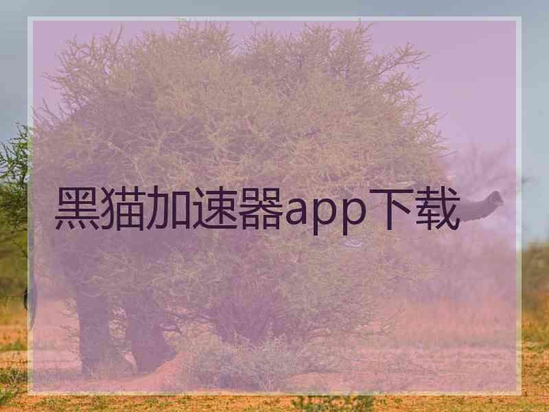黑猫加速器app下载