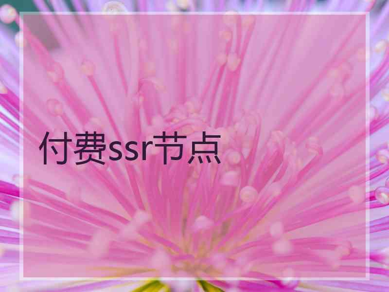 付费ssr节点
