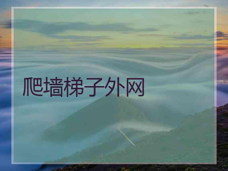 爬墙梯子外网
