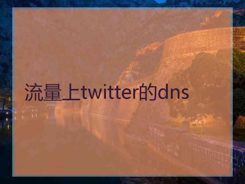 流量上twitter的dns
