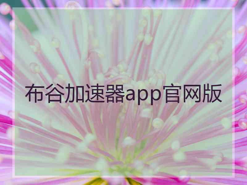 布谷加速器app官网版