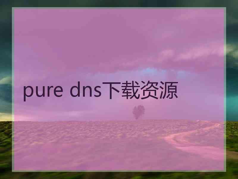 pure dns下载资源