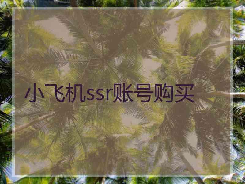 小飞机ssr账号购买