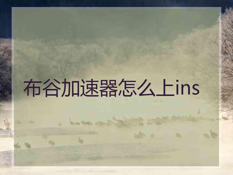 布谷加速器怎么上ins