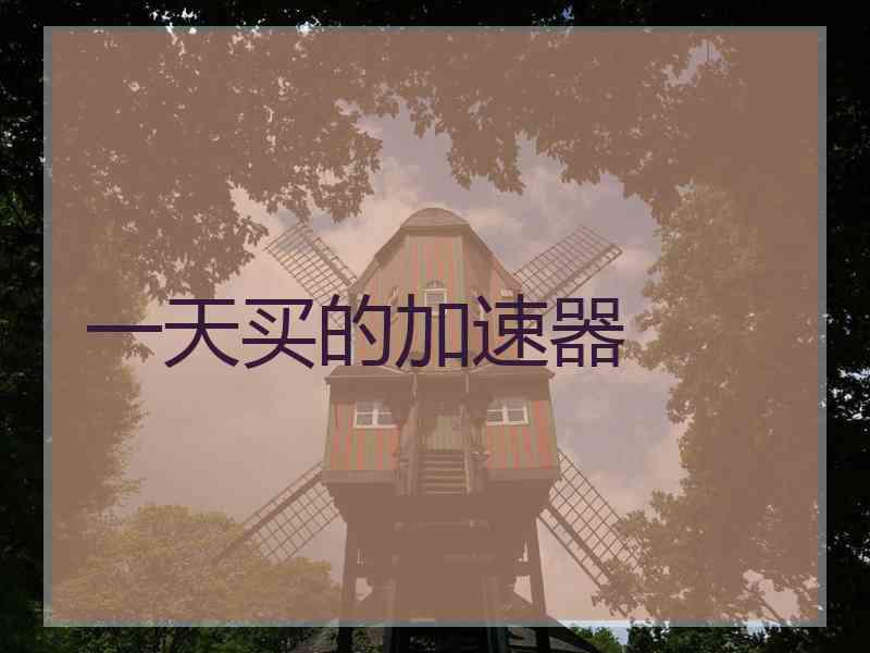一天买的加速器