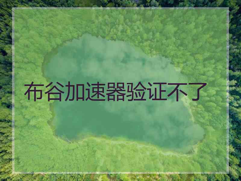 布谷加速器验证不了