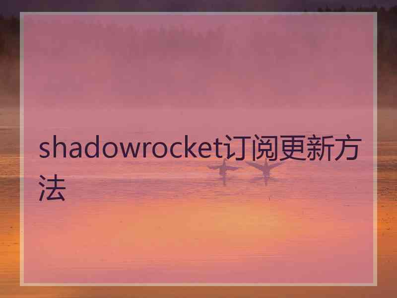 shadowrocket订阅更新方法