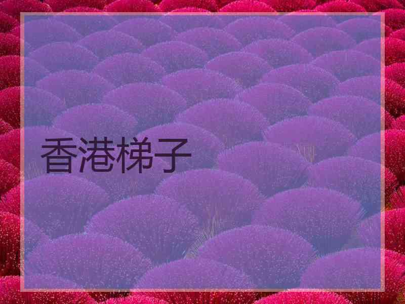 香港梯子