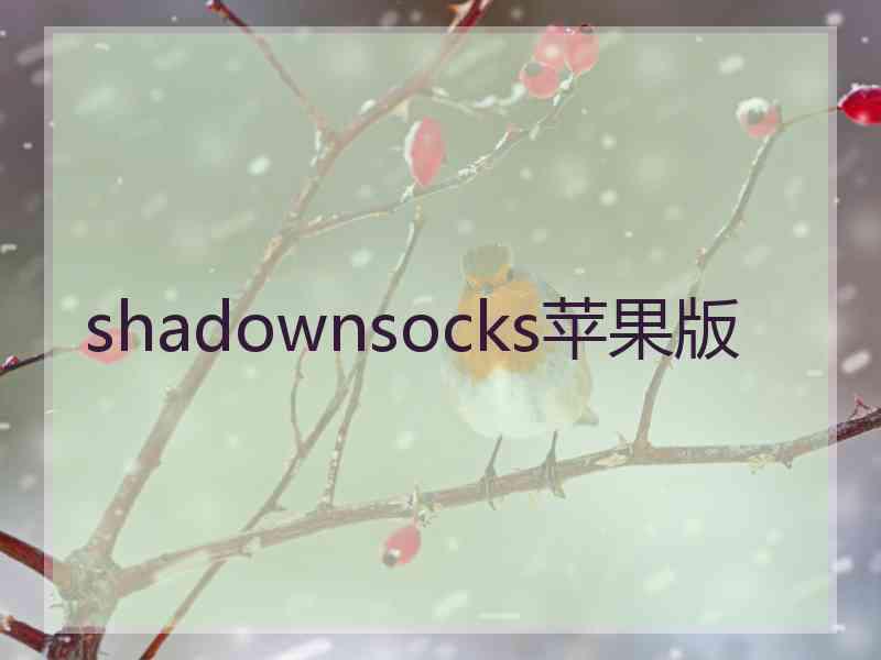 shadownsocks苹果版