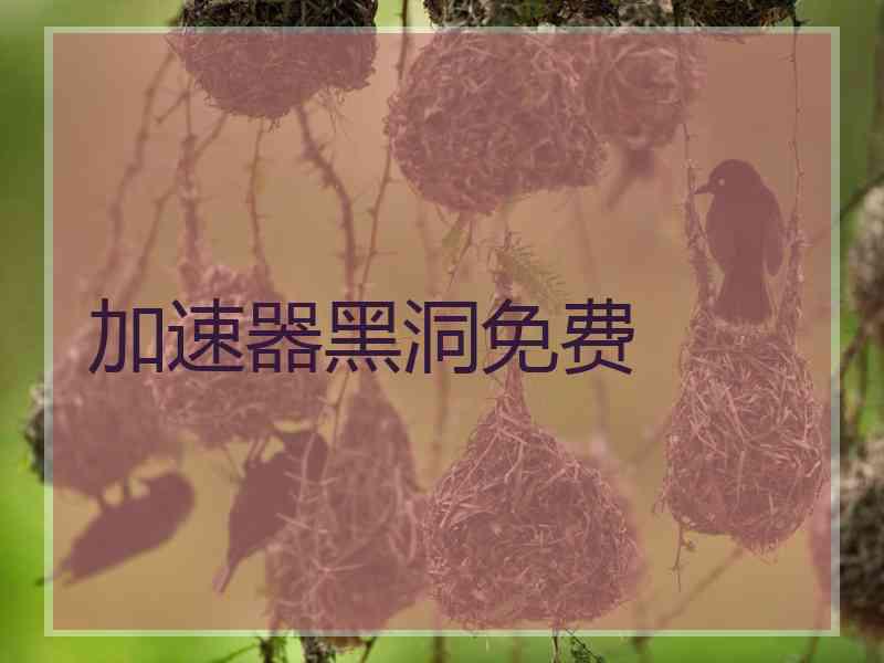 加速器黑洞免费
