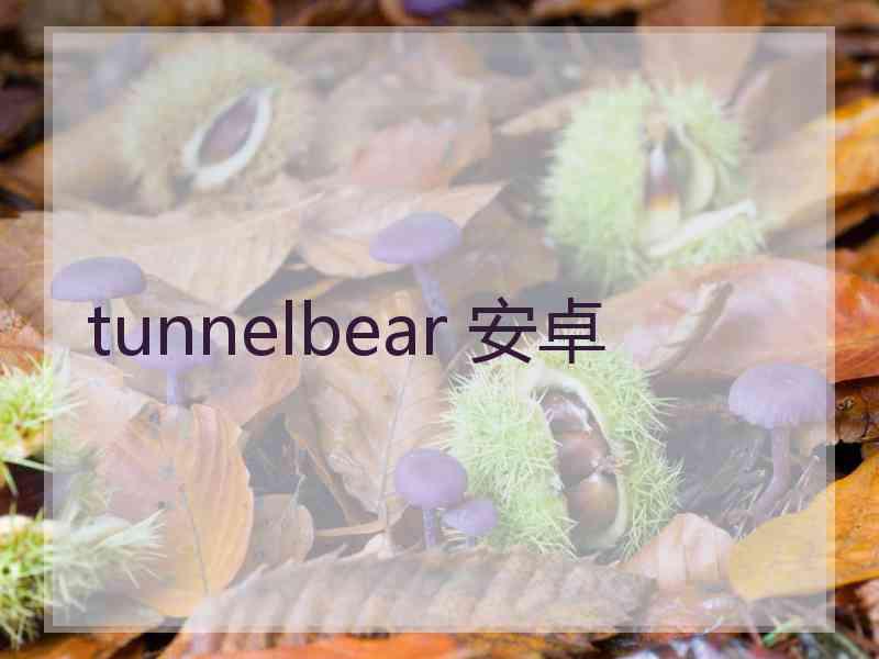 tunnelbear 安卓