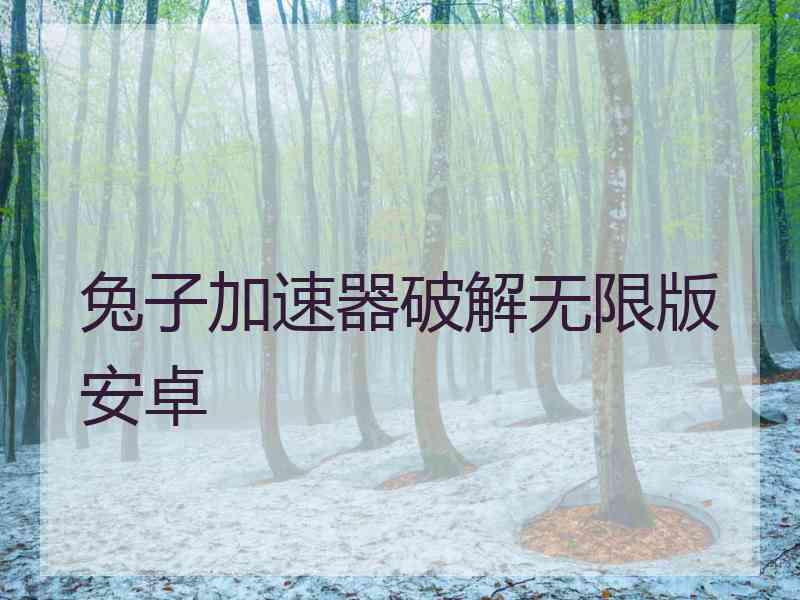 兔子加速器破解无限版安卓