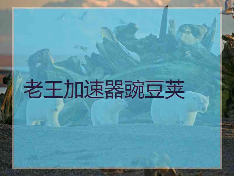 老王加速器豌豆荚