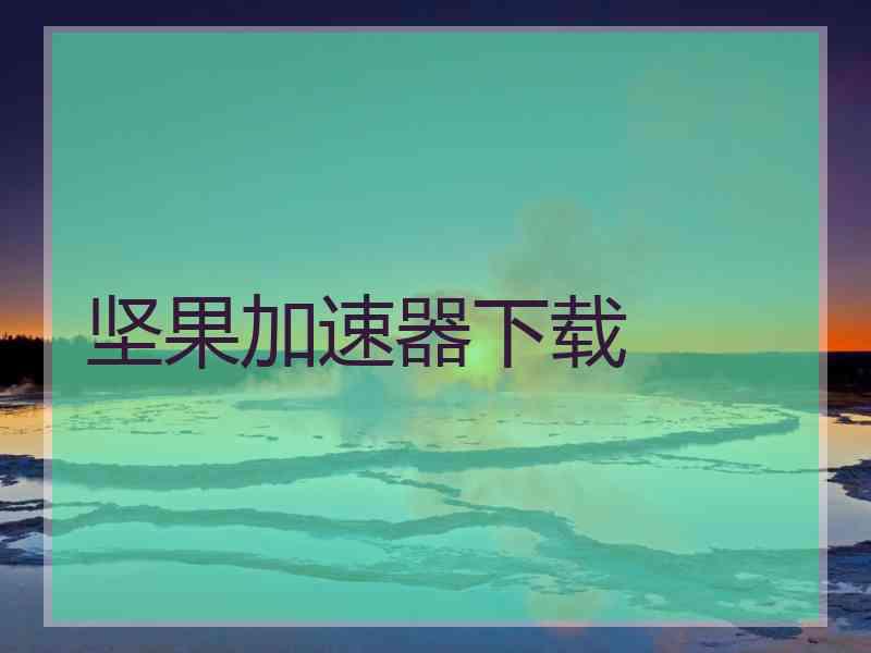 坚果加速器下载