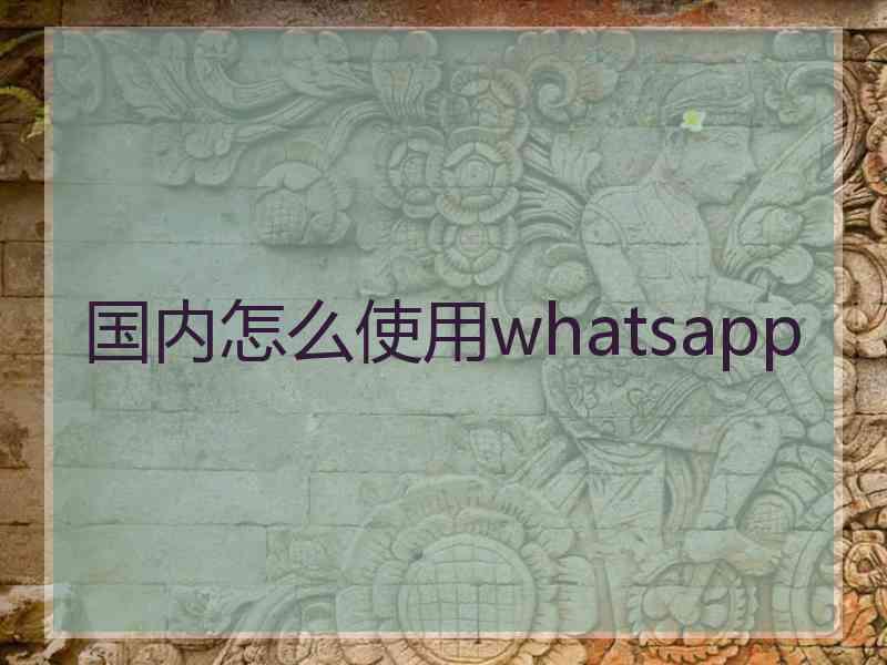 国内怎么使用whatsapp