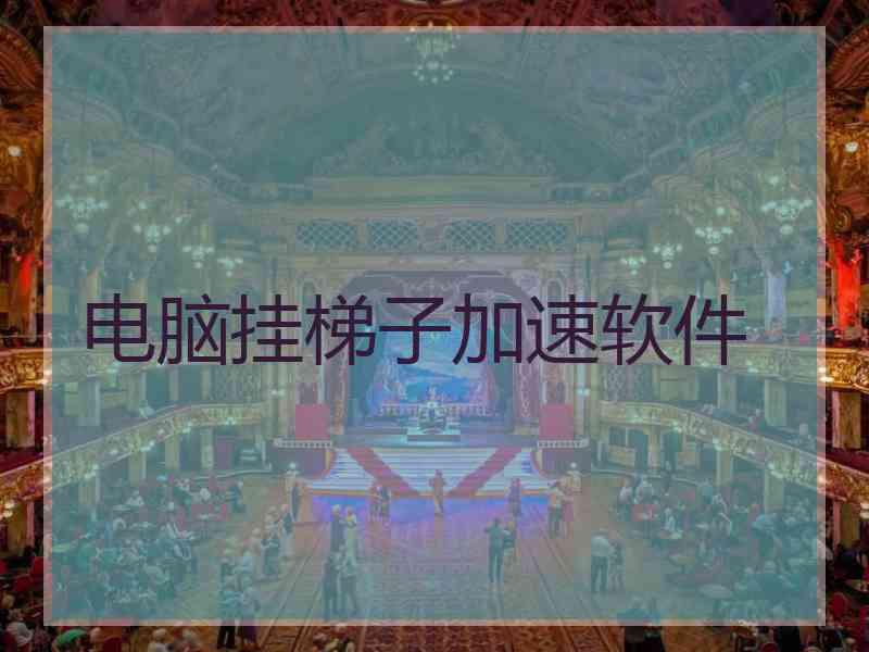 电脑挂梯子加速软件