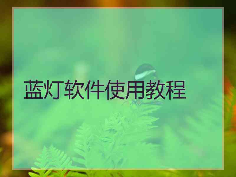 蓝灯软件使用教程