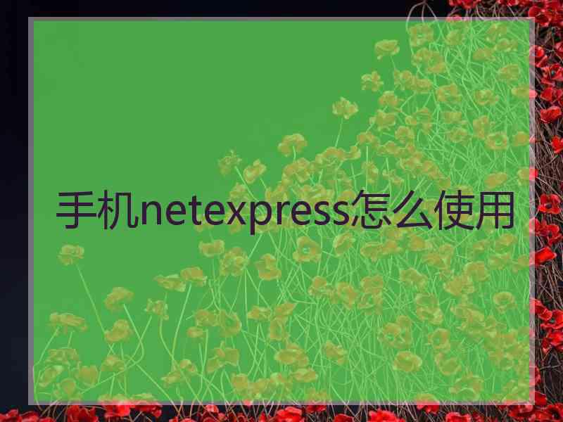 手机netexpress怎么使用