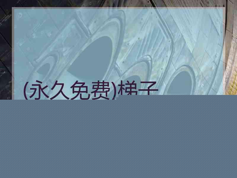 (永久免费)梯子