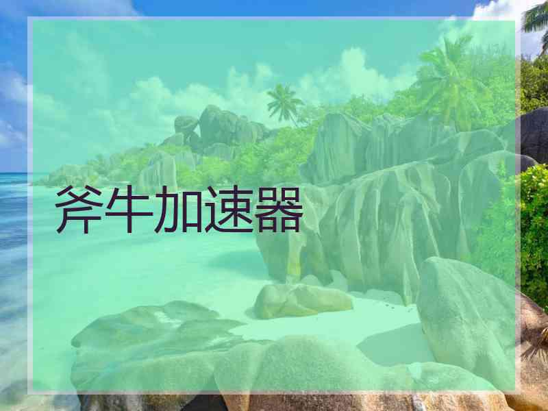 斧牛加速器