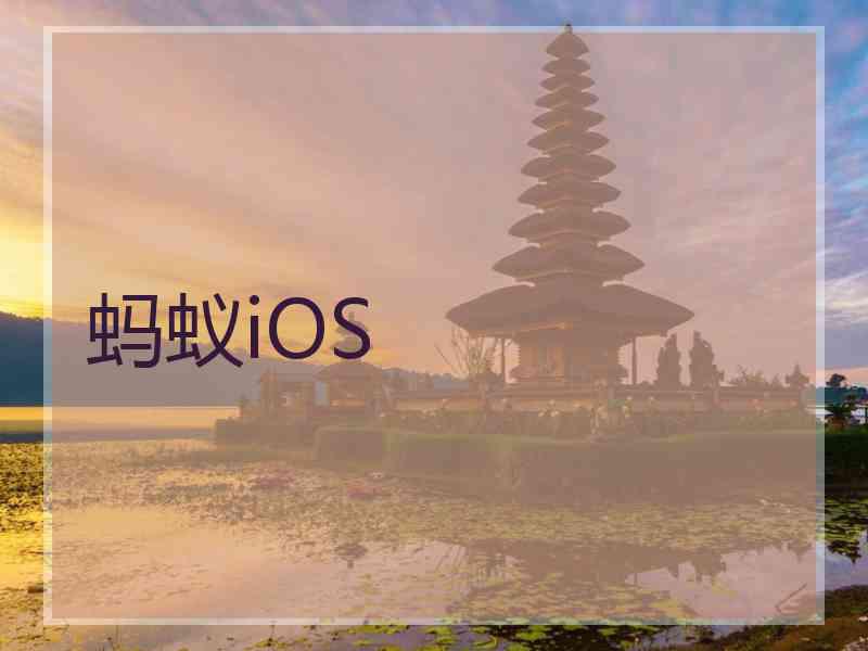 蚂蚁iOS