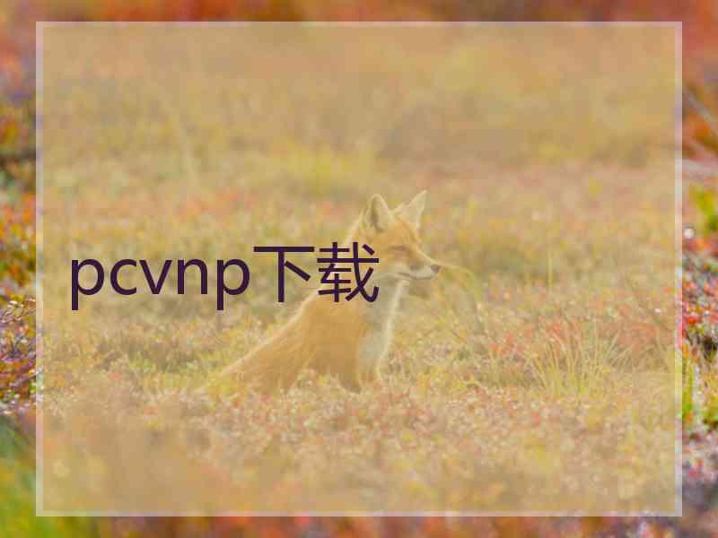 pcvnp下载