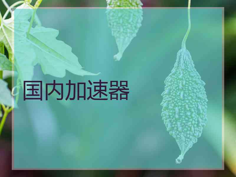 国内加速器