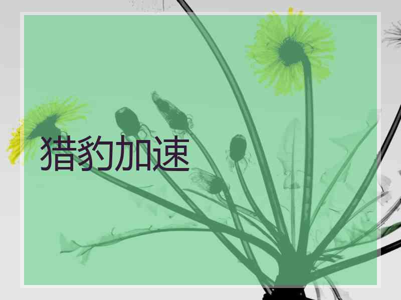 猎豹加速