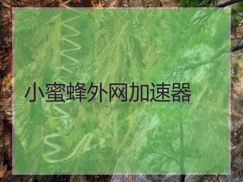 小蜜蜂外网加速器