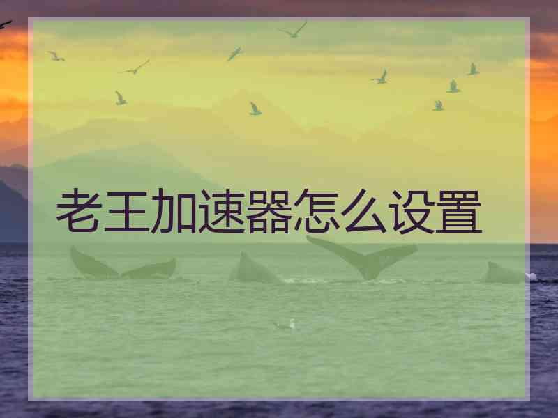 老王加速器怎么设置
