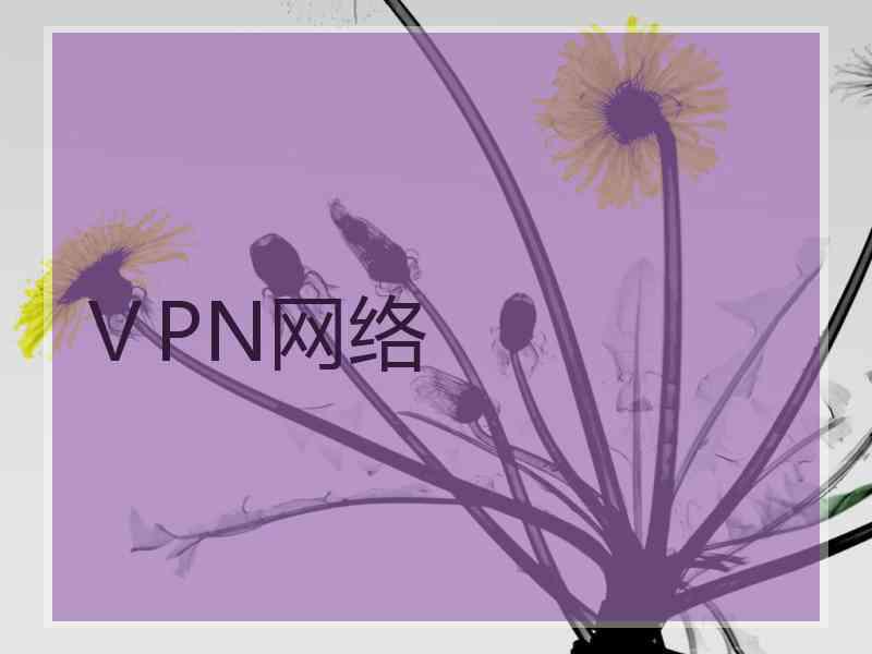 ⅤPN网络