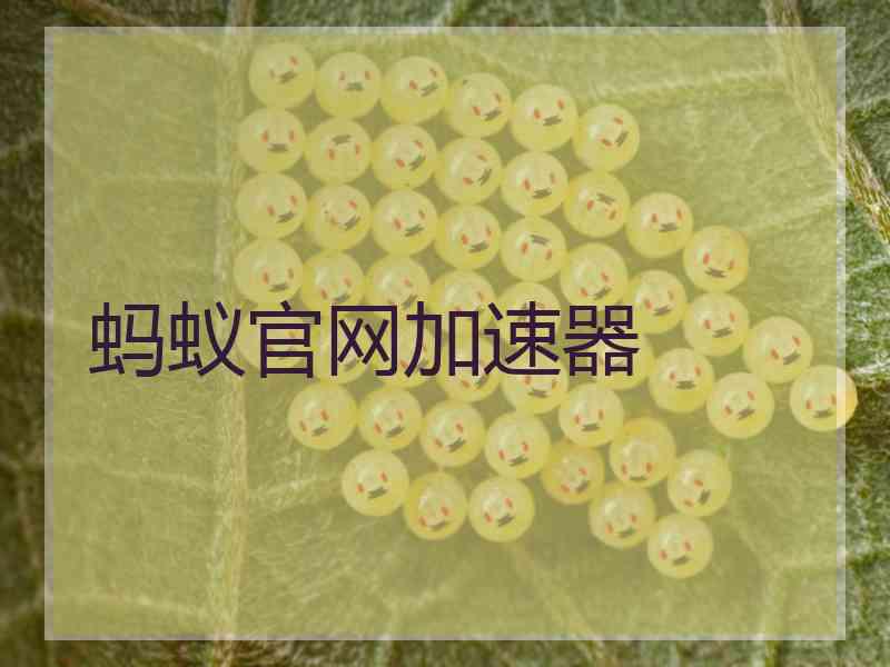 蚂蚁官网加速器