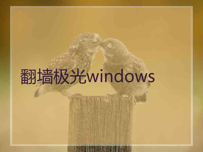 翻墙极光windows