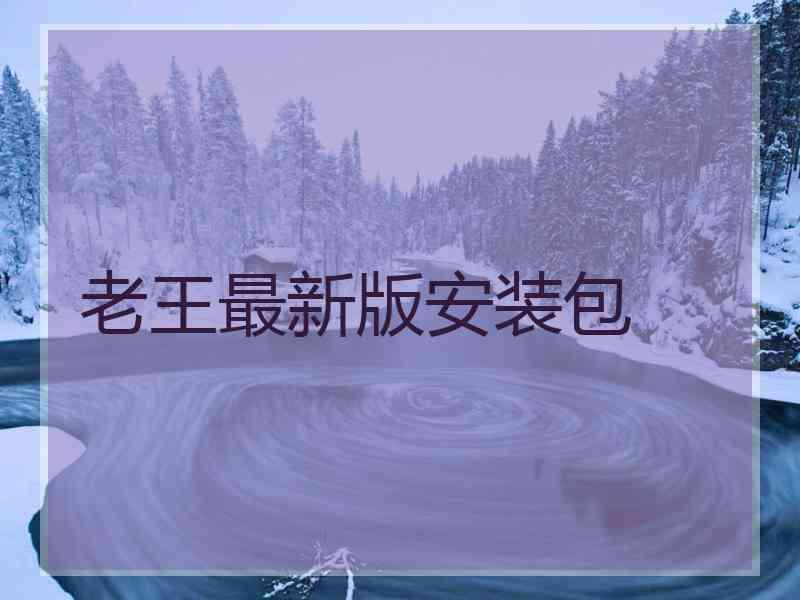 老王最新版安装包
