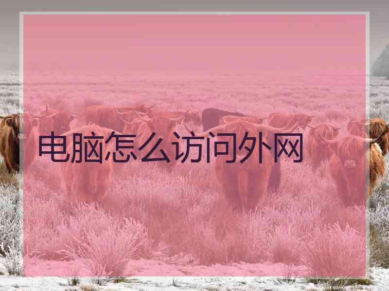 电脑怎么访问外网